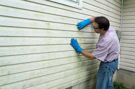 Affordable Siding Repair and Maintenance Services in Del Rey Oaks, CA